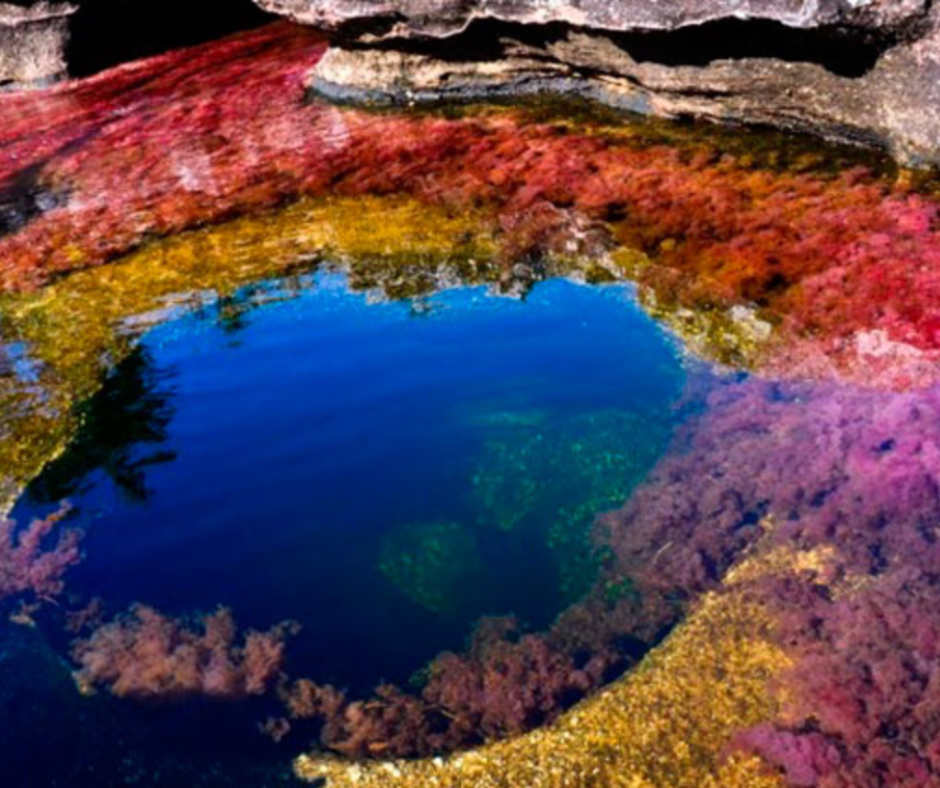 Rio de los cinco colores